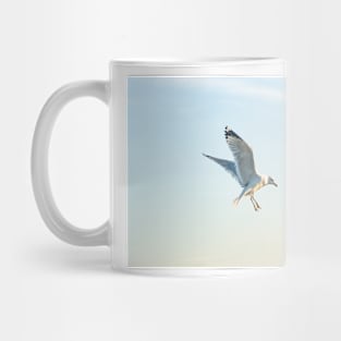 Hovering California gull Mug